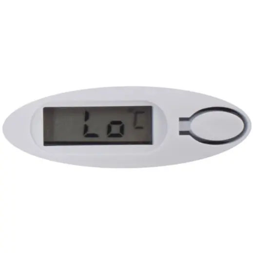 Digital Thermometer Screen
